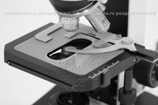 Микроскоп Альтами БИО 8 (бино) 