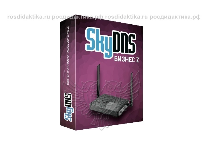 Комплект SkyDNS.Бизнес Z