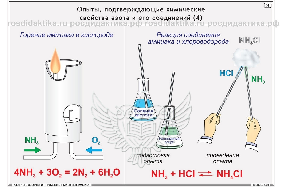 Запишите реакцию кислорода с азотом. Азот и его соединения. Промышленный Синтез аммиака (16 шт). Сгорание аммиака реакция. Опыты с азотом по химии. Реакция горения аммиака в кислороде.