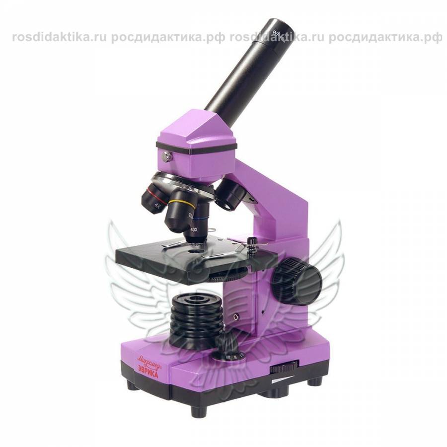 Микроскоп школьный Эврика 40х-400х в кейсе (аметист)