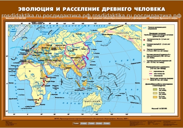 Карта настенная "Эволюция и расселение древнего человека" 70х100 (5 класс)