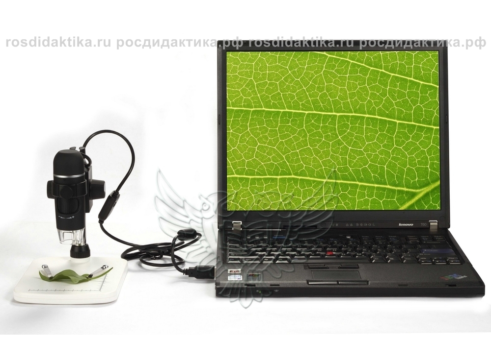 Микроскоп USB M500