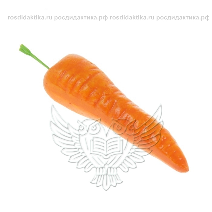 Муляж "Морковь"