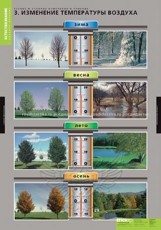 Комплект таблиц "Летние и зимние изменения в природе" (13 таблиц 680х980+32 карт.)
