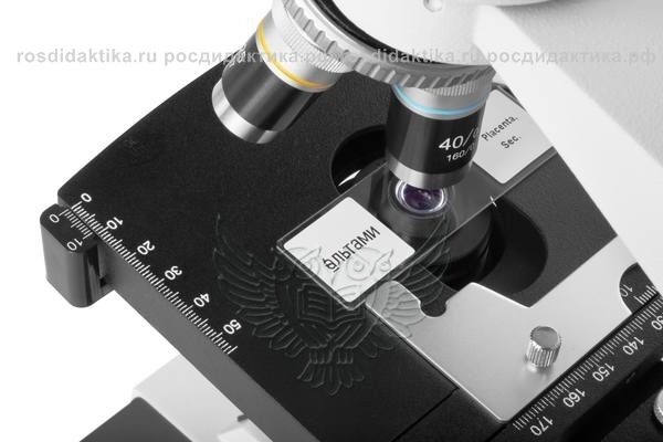 Микроскоп Альтами БИО 6 (бино) LED