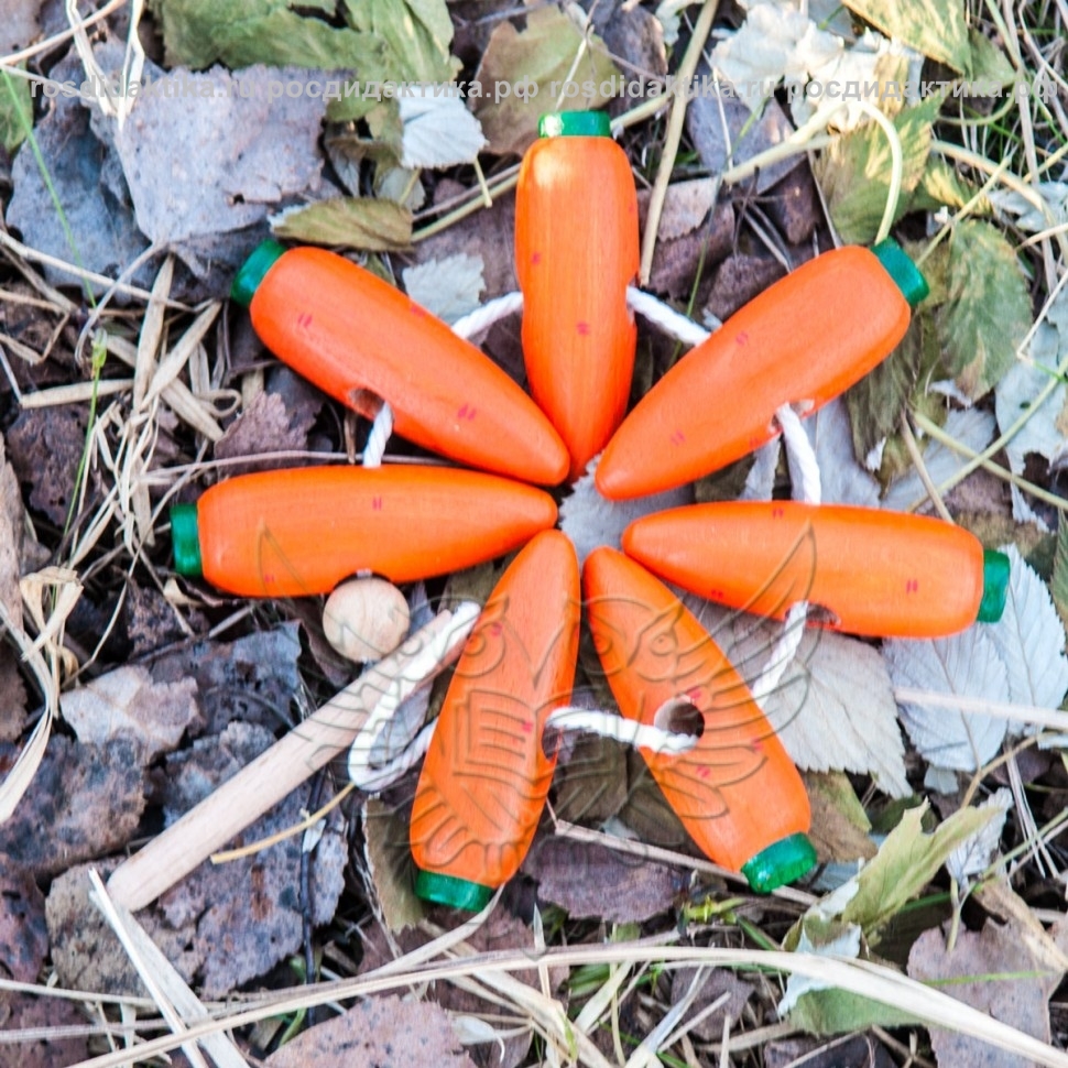 Шнуровка «Морковки»