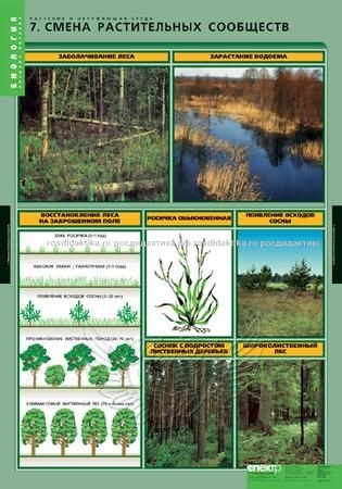Комплект таблиц "Растения и окружающая среда" (7 таблиц 680х980)