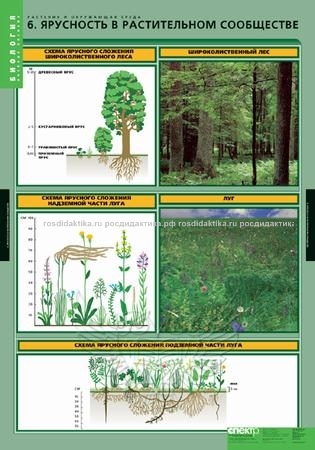 Растительные сообщества 7 класс учебник